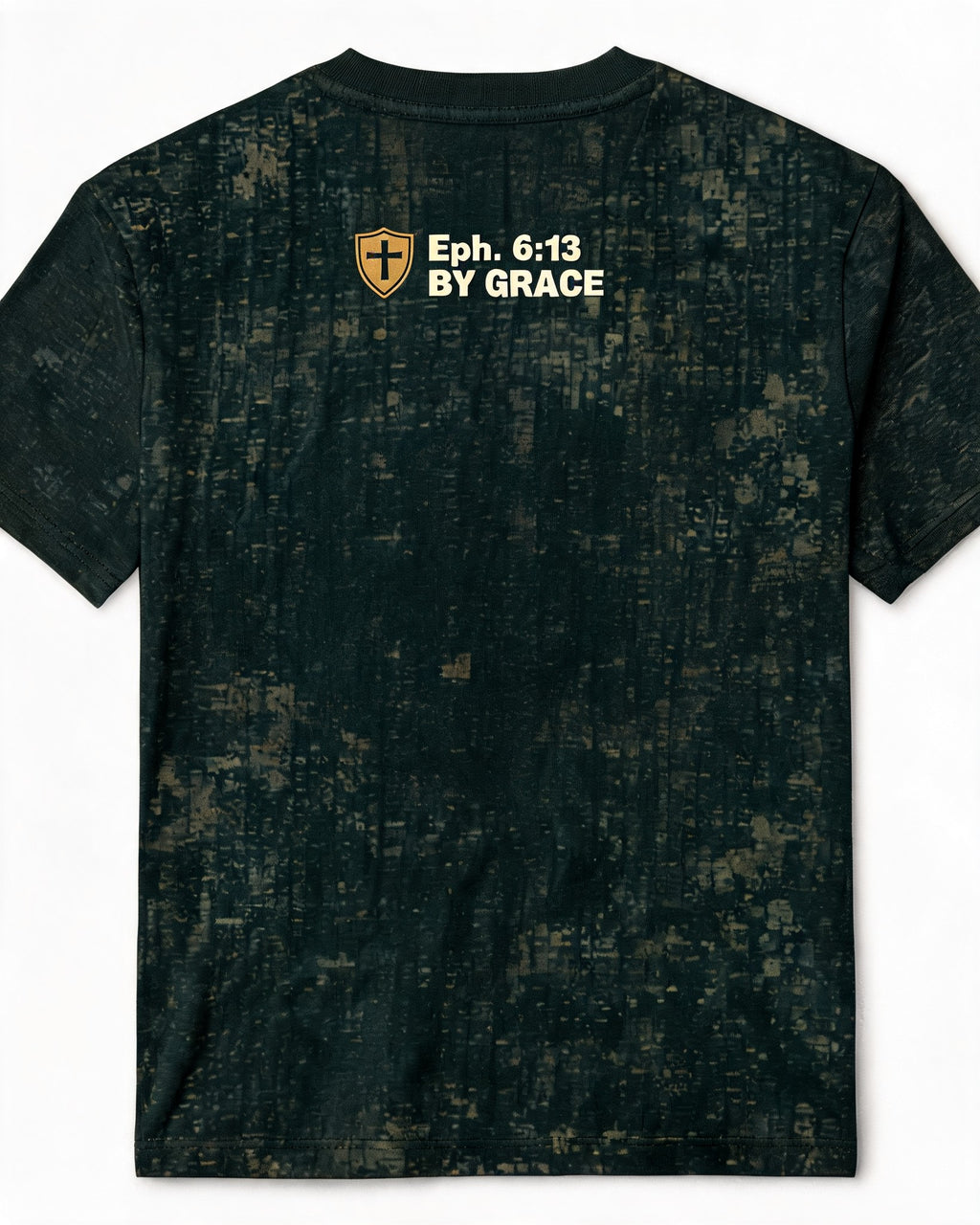 CC-CHRIST-VETERAN-260802-08 gallery 2