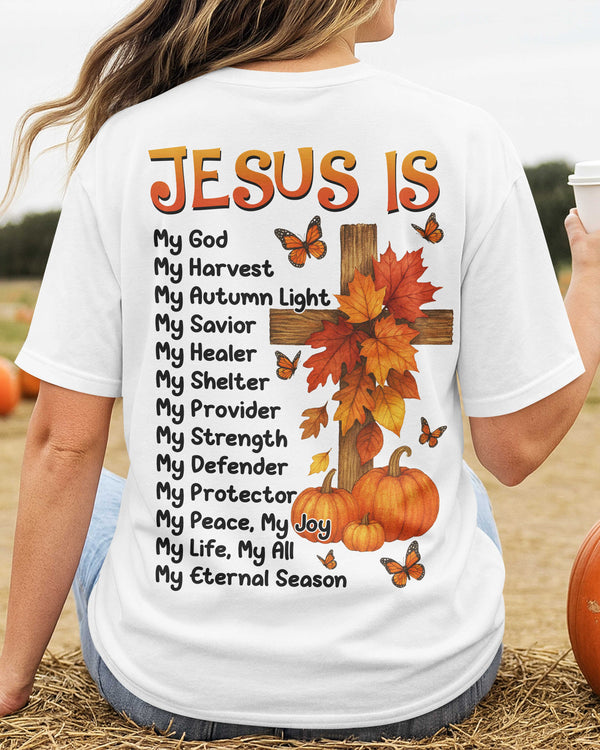 Jesus Is T-Shirt