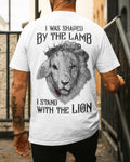 I Stand With The Lion T-Shirt